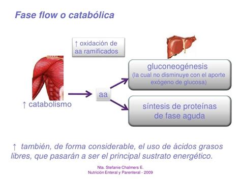fase ebb e flow.